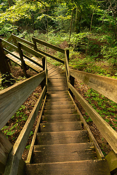 Staircase to Pearl Ravine