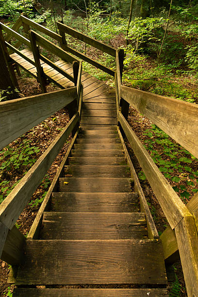 istock Staircase to Pearl Ravine 2230626961