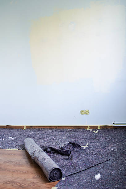 istock Home renovation room prepared with protective fabric for the wall painting 2230628603