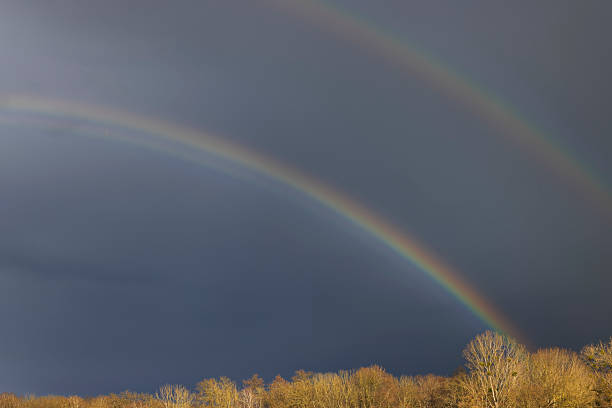 Double rainbow appearing over the horizon of a forest in a cloudy sky