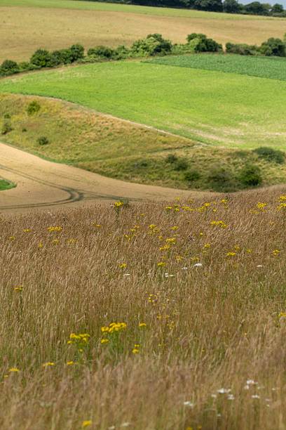 istock Farming hill in the countryside, Wiltshire in England. 2230632022