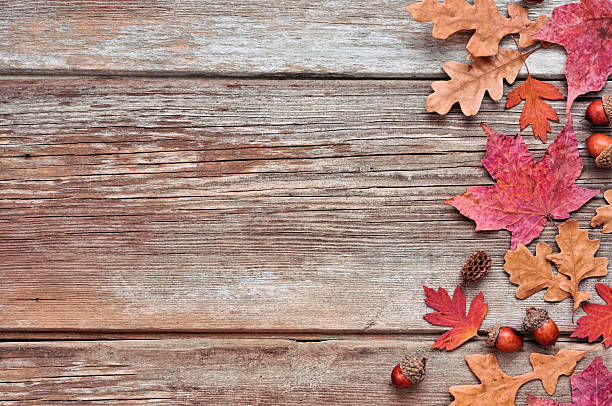istock Colorful fall leaves and nuts. Side border over a rustic wood background. 2230635105