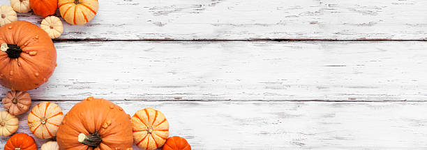 istock Autumn pumpkin corner border against a rustic white wood banner background 2230635424