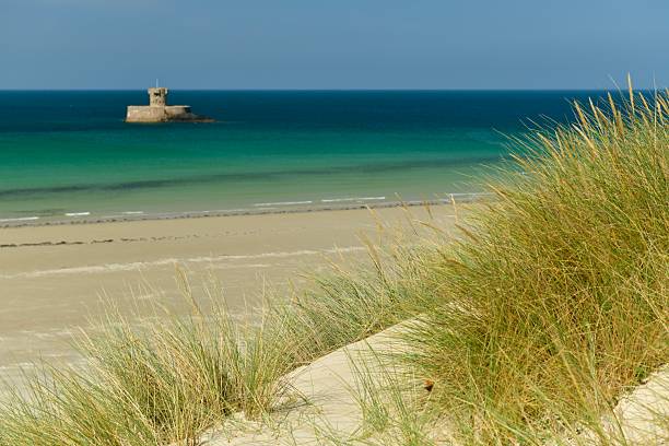 Wild grasses above Fistral Beach, Newquay, Cornwall with bright defocused sand, sea and sky behind on a sunny June day.