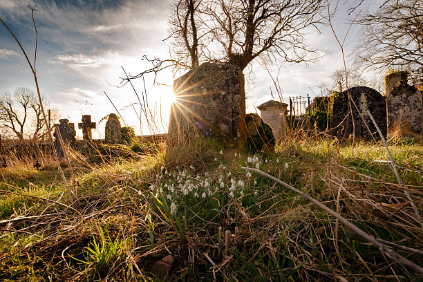 istock Snow Drops in front of old grave stone 2230640610