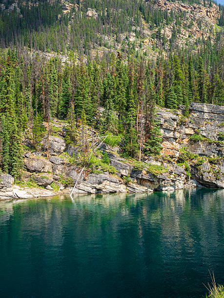 istock Valley of the Five Lakes, Jasper NP, Canada 2230644069