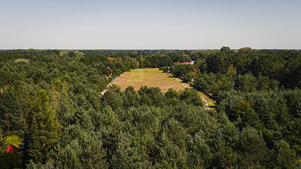 Forested Area with Clearing and Scattered Buildings in Poland