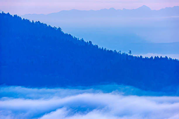 istock Vancouver Island British Columbia 2230647808