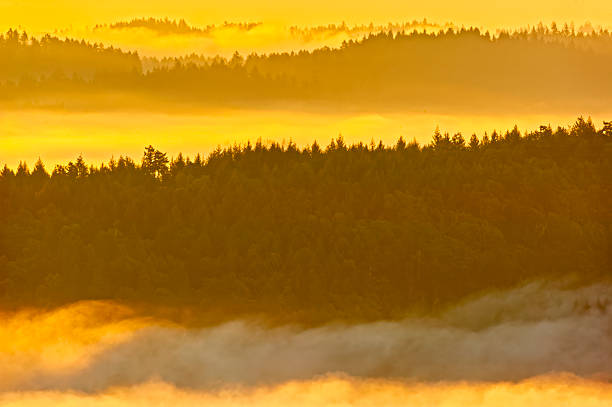 Morning sunrise and fog on the Saanich Peninsula on Vancouver Island, British Columbia