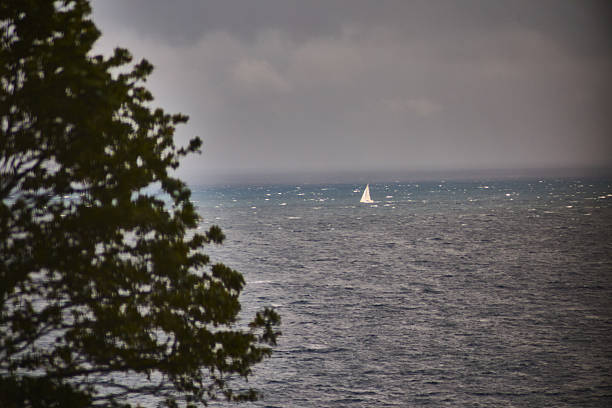 A sailboat is seen on the open ocean under cloudy skies, as viewed through trees in soft focus, creating a serene and adventurous maritime scene.