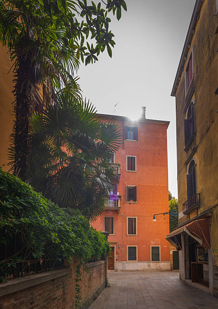 istock Venetian houses with palm trees and greenery 2230648807
