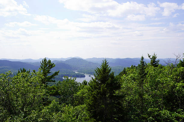 Winding lake and rolling hills surrounded by dense forests under a blue sky with white clouds