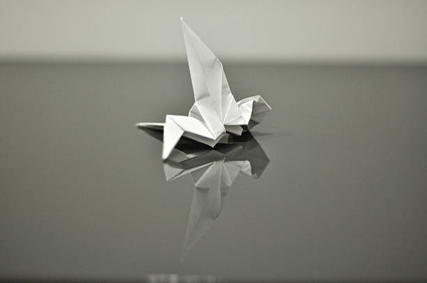 istock A white paper origami bird lies on a grey mirrored surface, mirror reflection 2230651406