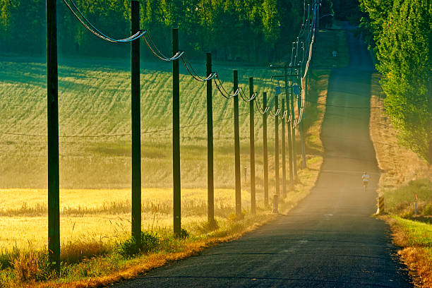 Country road through farmland found on the Saanich Peninsula on Vancouver Island, British Columbia