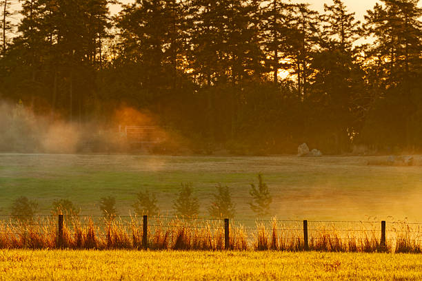 Farm found on the Saanich Peninsula on Vancouver Island, British Columbia