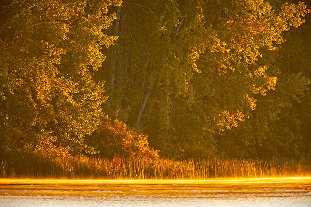 Saanich Peninsula on Vancouver Island, British Columbia