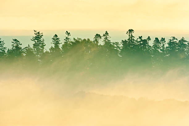 Saanich Peninsula on Vancouver Island, British Columbia