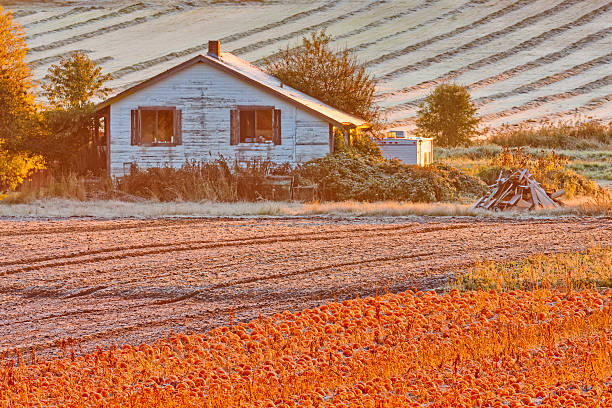 Ludvika, Sweden – August 02, 2024: A scenic rural farm with haystacks and red barns under a clear blue sky.