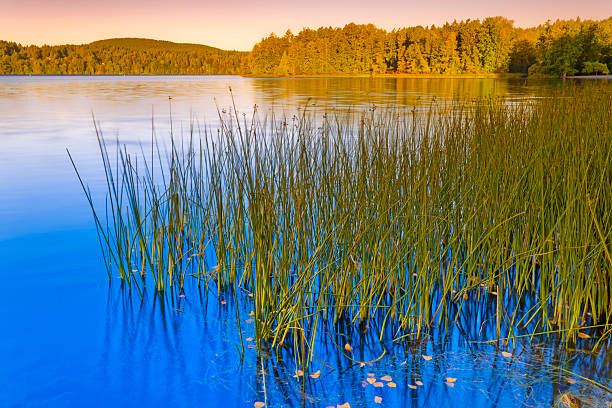 Elk Lake on the Saanich Peninsula on Vancouver Island, British Columbia
