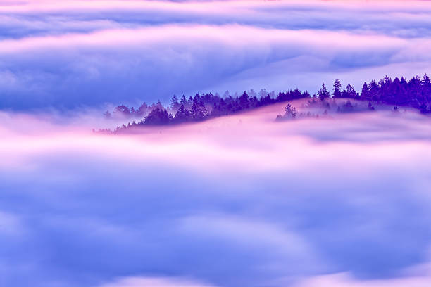Saanich Peninsula on Vancouver Island, British Columbia