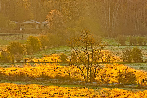 Farm found on the Saanich Peninsula on Vancouver Island at sunrise, British Columbia