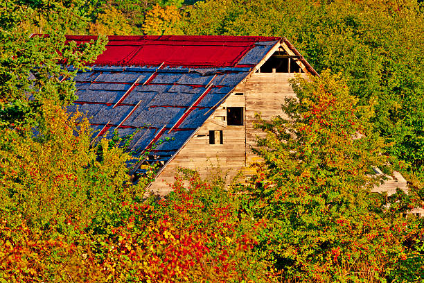Farm and barn found on the Saanich Peninsula on Vancouver Island, British Columbia
