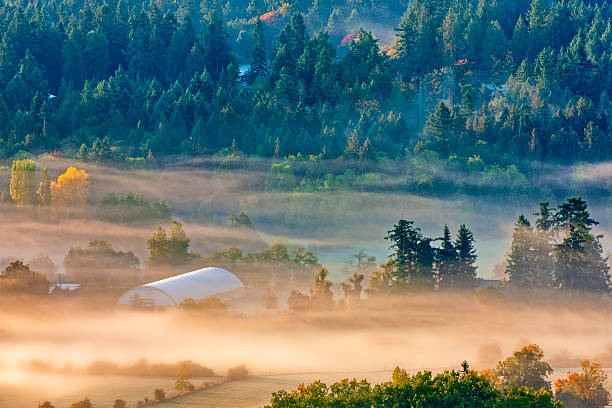 Farm found on the Saanich Peninsula on Vancouver Island, British Columbia