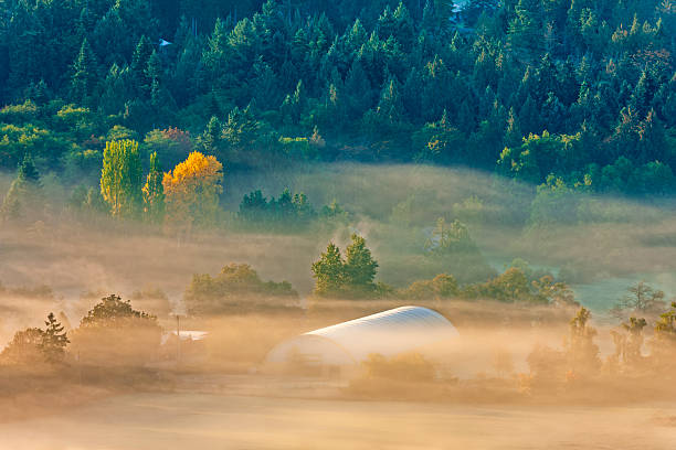 Weather front coming over huge lake in the morning with beautiful fog in the forground