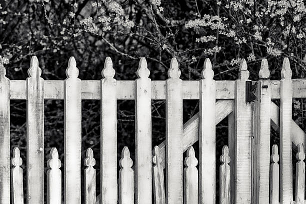 Farm with picket fence and spring blossoming trees found on the Saanich Peninsula on Vancouver Island, British Columbia