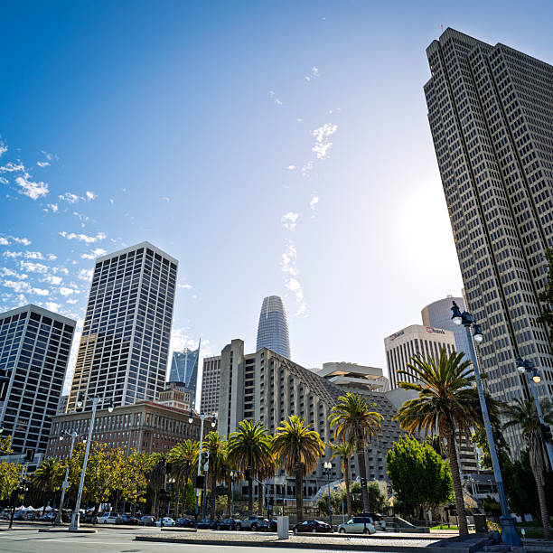 A bright morning in San Francisco’s Financial District featuring palm trees and modern skyscrapers. The rising sun casts light over iconic towers, including the Salesforce Tower, with a clear blue sky and scattered clouds above. The scene captures the urban vibrancy and architectural diversity of downtown San Francisco.