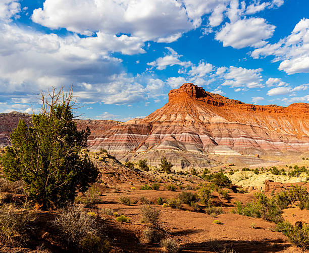 istock Vibrant Colored Layers on The Paria Rainbow Mountains 2230667538