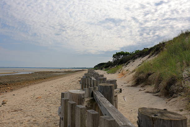 istock Snow fence serves as a beach sand barrier to prevent dunes from eroding 2230669010