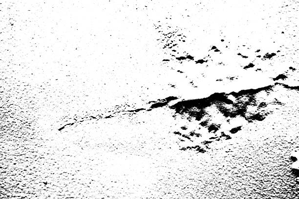 istock Abstract grunge black and white distressed texture background 2230671968