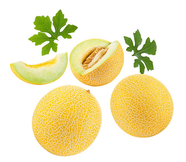 cantaloupe melon isolated on white background