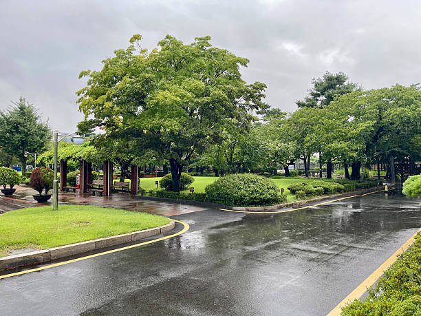 istock Summer Rainy Day Garden in Seoul 2230677264