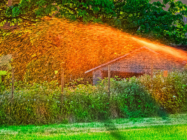 Yard and garden on Vancouver Island Saanich Peninsula, British Columbia