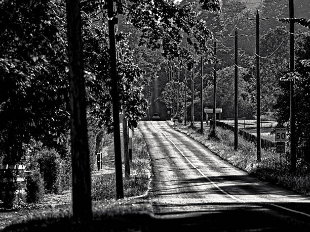 Country road through farmland found on the Saanich Peninsula on Vancouver Island, British Columbia