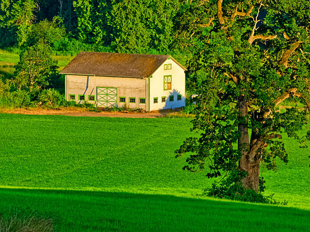 Farm found on the Saanich Peninsula on Vancouver Island, British Columbia