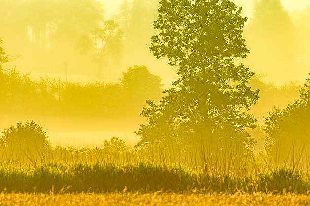 Farm found on the Saanich Peninsula on Vancouver Island, British Columbia