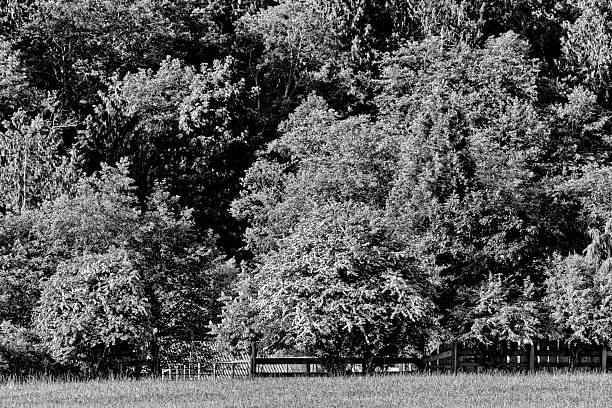 Woodland and farm found on the Saanich Peninsula on Vancouver Island, British Columbia