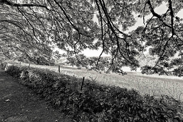 Woodland and farm found on the Saanich Peninsula on Vancouver Island, British Columbia