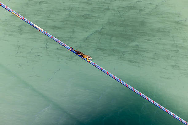 A vast offshore tidal power generation plant, where numerous turbines are installed in the ocean, symbolizing renewable energy generation, sustainable development, and the transition to clean power sources. The organized rows of turbines also suggest large-scale infrastructure and innovation in energy technology.