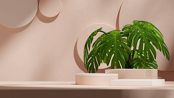 istock 3d image render mockup space white color block and cylinder in landscape circles backdrop 2230694594
