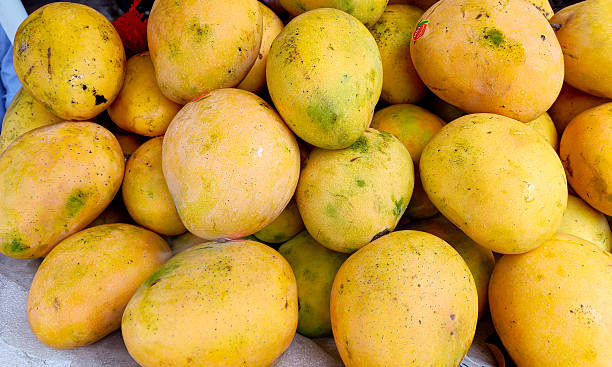 istock Fresh Ripe Mangoes on Display for sell in India 2230695883