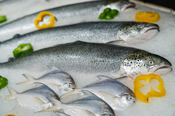 Close-up of fresh salmon and pomfret fish displayed on ice with sliced bell peppers at a seafood market.