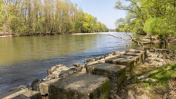 The Mur River is flowing gently through a forested area with lush green trees lining the banks. Large stones are forming a natural embankment along the river's edge, creating a serene and peaceful landscape.