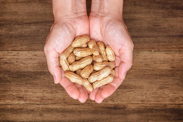 istock Opened female palms with fresh peanuts on wooden background 2230702381