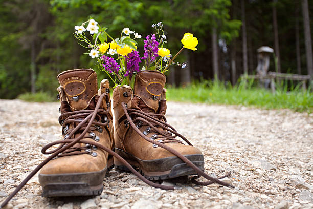 rustic hiking boots with wild blooming flowers inside in the woods