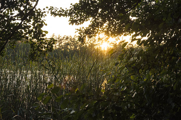 istock Sunset on a hot summer day at the lake. 2230710793