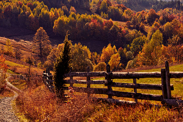 Autumn colored trees and countryside landscape scenery.